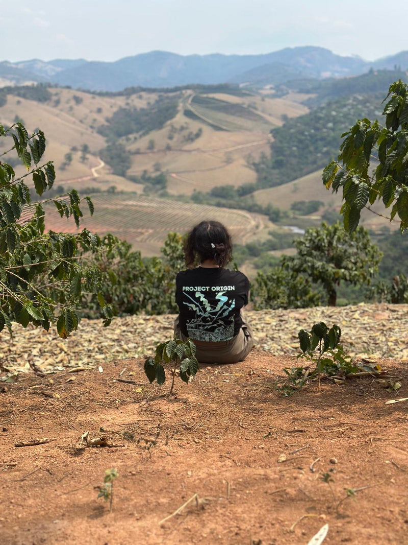 Strategic creative consultancy and business frameworks by CHNOS Practice.